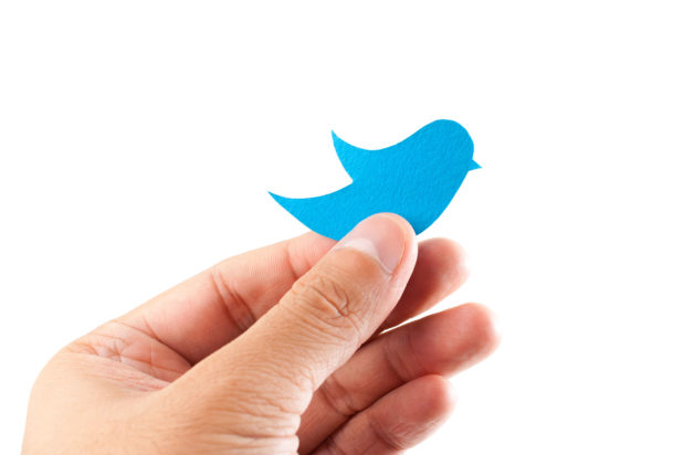 hand holding Twitter blue bird
